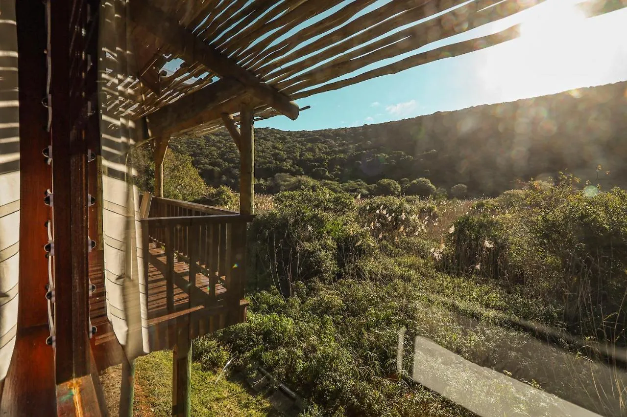 Thunzi Bush Lodge Beachview