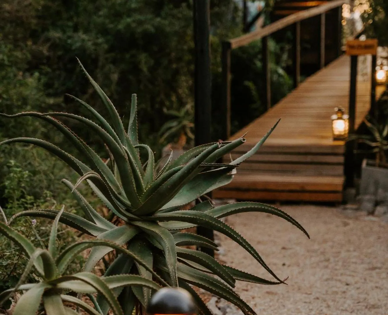 Thunzi Bush Lodge Beachview 0*,  Zuid-Afrika